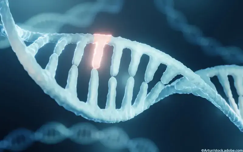 DNA Mutation