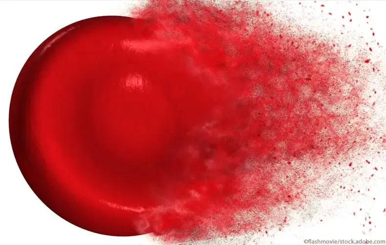 Erythrozyten Lyse