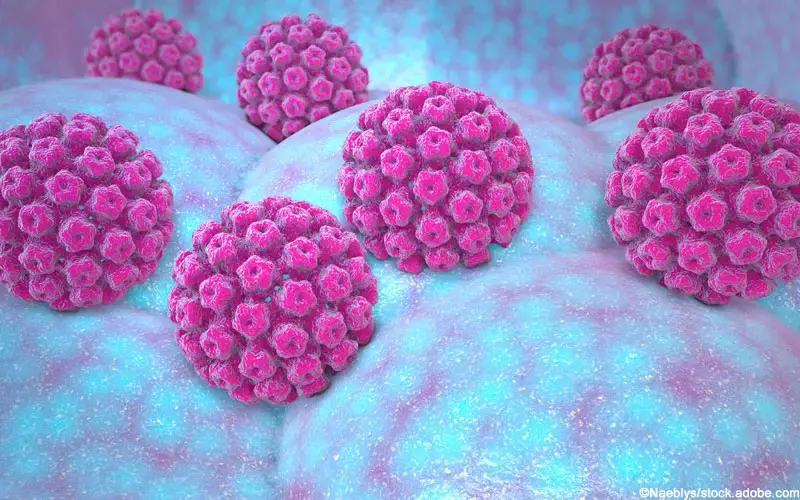 Humane Papillomaviren