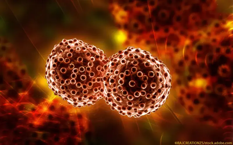 Krebszellen Vermehrung