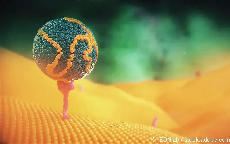 LDL-Rezeptor-3D