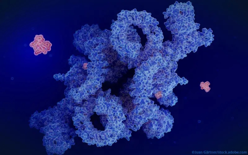 mTOR-Hemmung Sirolimus
