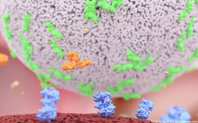 NK-Zellen Antikörper