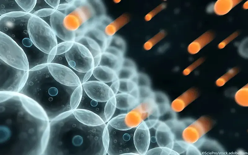 Reaktive Sauerstoffspezies