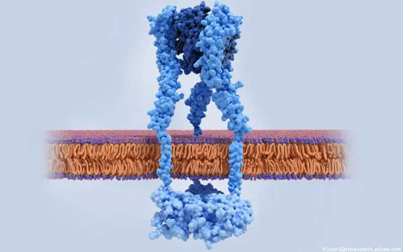 TNF-alpha-Rezeptor mit TNF alpha