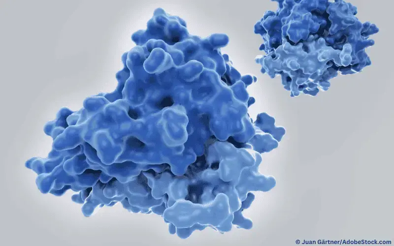 Tumornekrosefaktor-alpha TNF