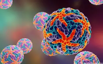Dengue-Virus Dengue-Virus