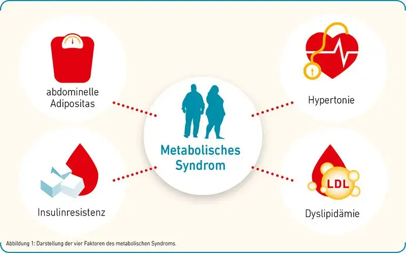 Certmedica metabolisches Syndrom