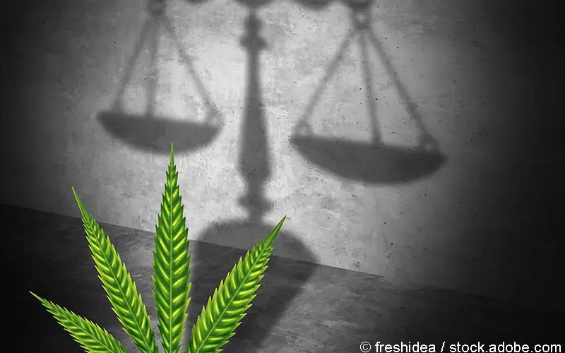 Cannabis Legalisierung