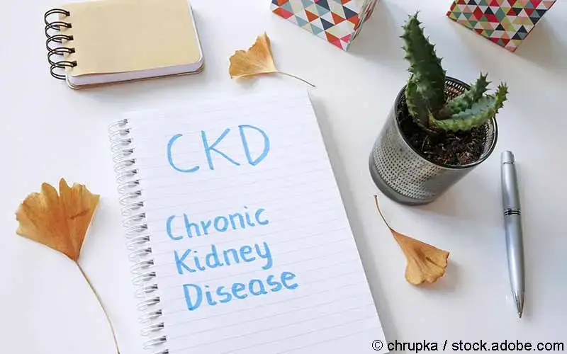 CKD - chronische Nierenerkrankung