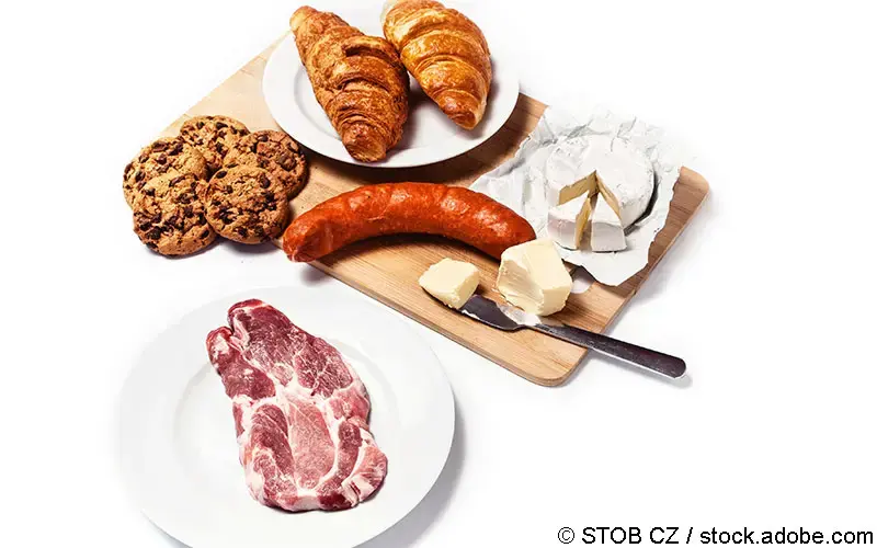 gesättigte Fettsäuren