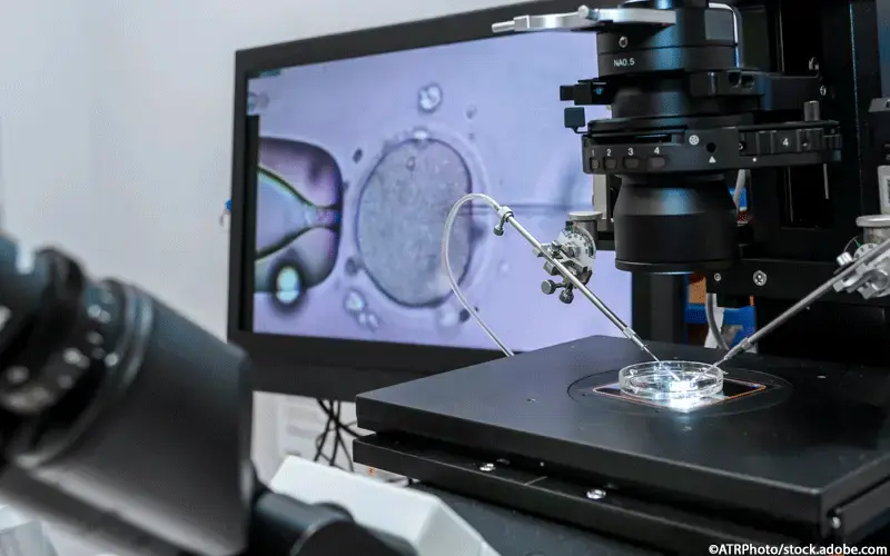 in vitro fertilisation