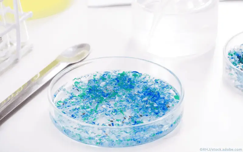 Petrischale-Mikroplastik-Labor-Umwelt