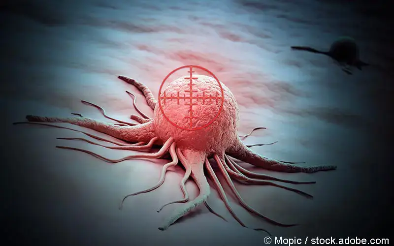 Ziel Tumorzelle 