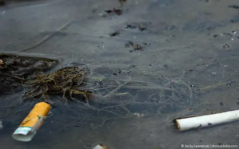 Zigarettenfilter in Pfütze