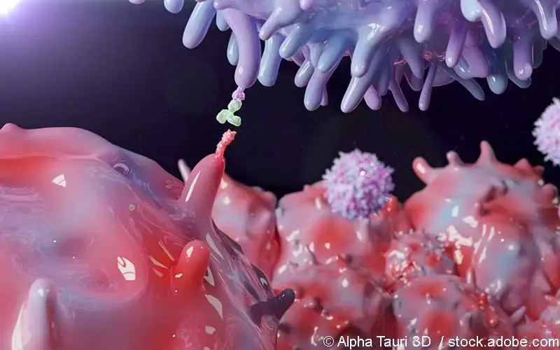 Antikoerper-Bindung an PD1