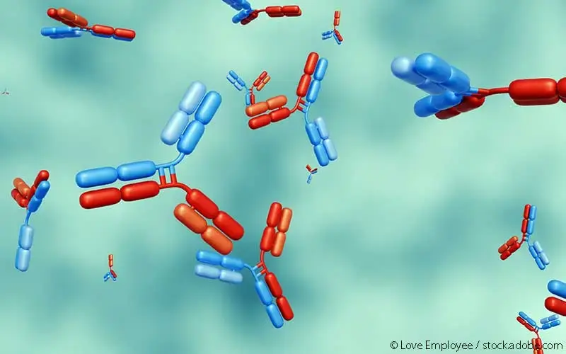 bispezifischer Antikörper