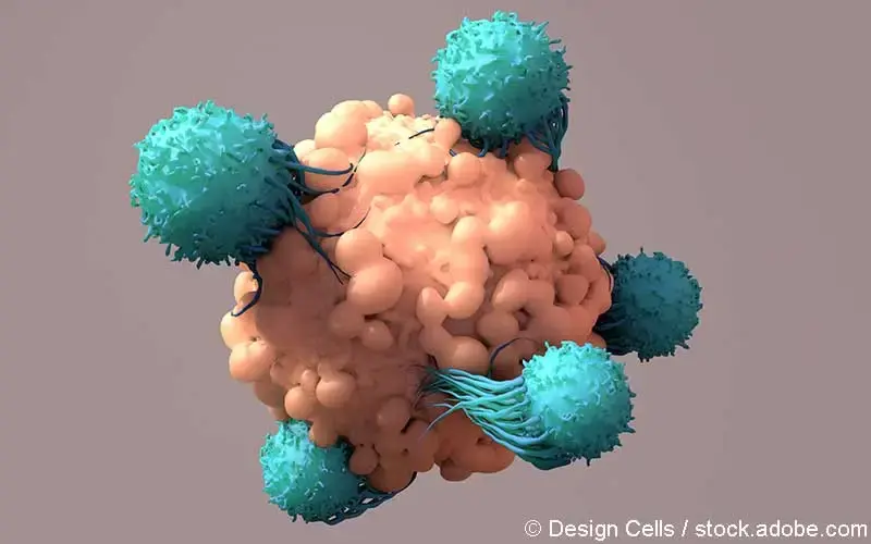 Car-T-Zell Angriff Krebszelle