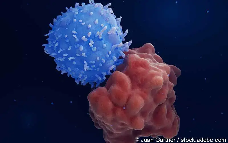 car-t-zelle-leukaemiezelle