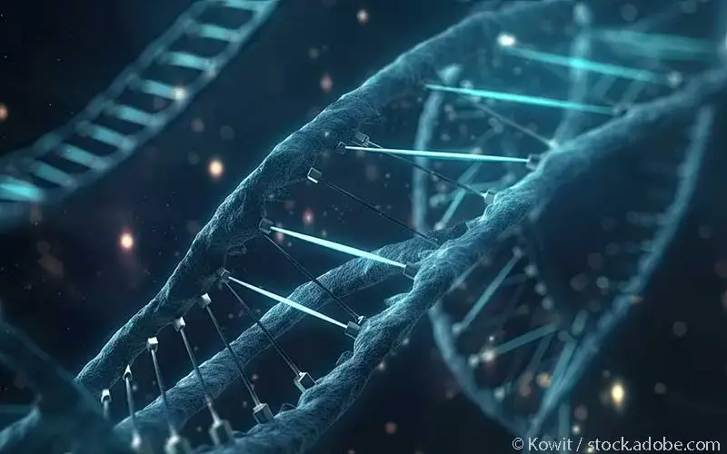 DNA Doppelhelix