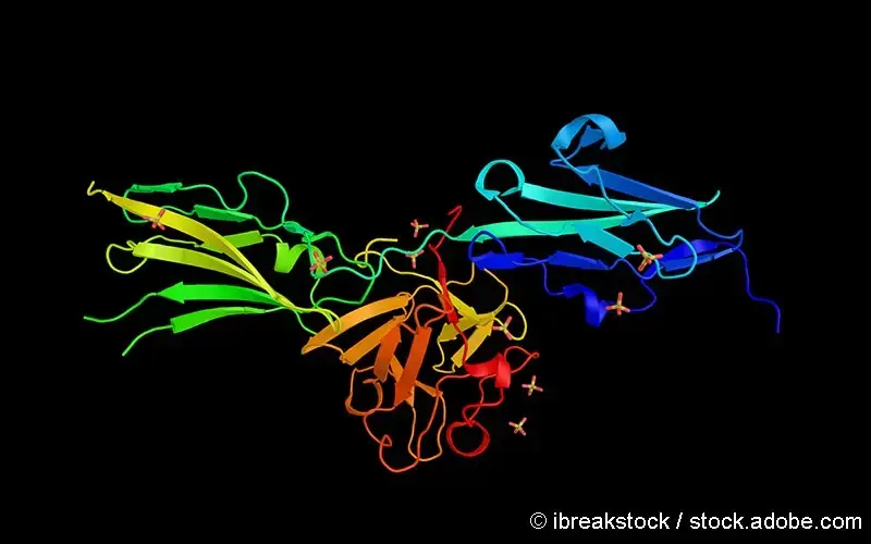 Fibroblast growth factor receptor 2
