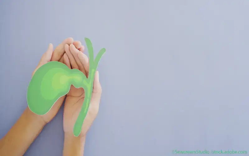 Gallengang und -blase