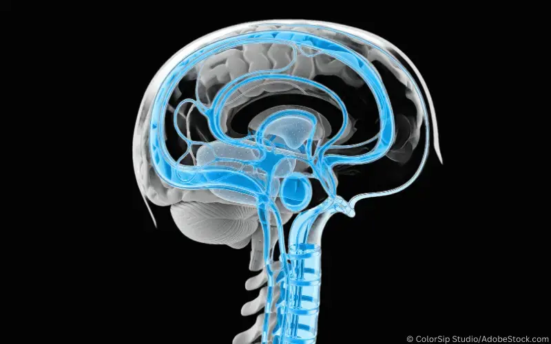 Gehirn Cerebrospinal Fluid
