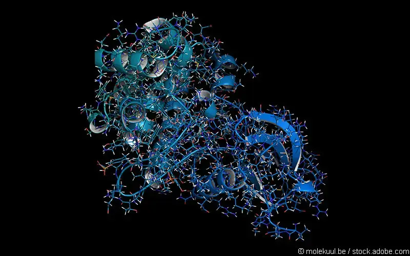 Januskinase Protein
