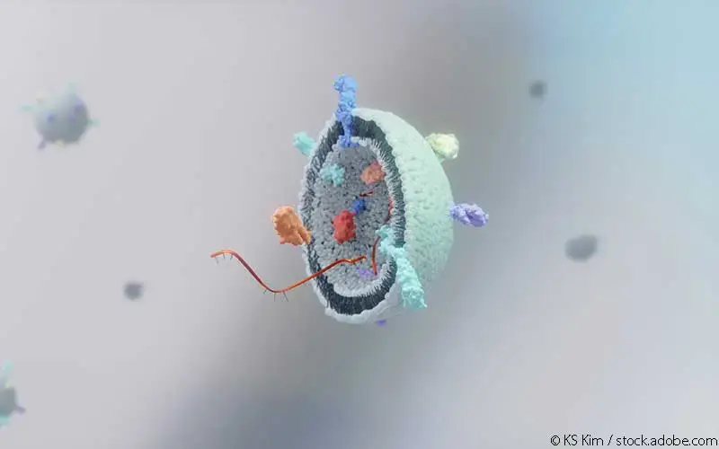 Kleine extrazelluläre Vesikel