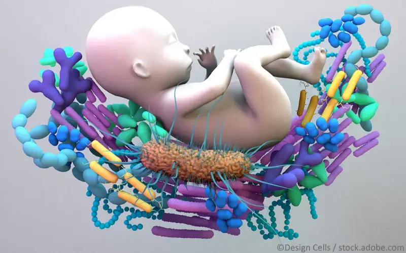 Mikrobiom Baby