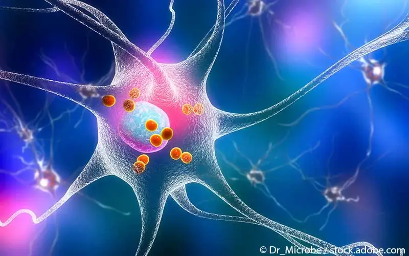 Parkinson Neuron