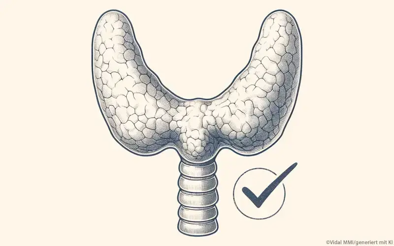 Schilddrüse Sicherheit