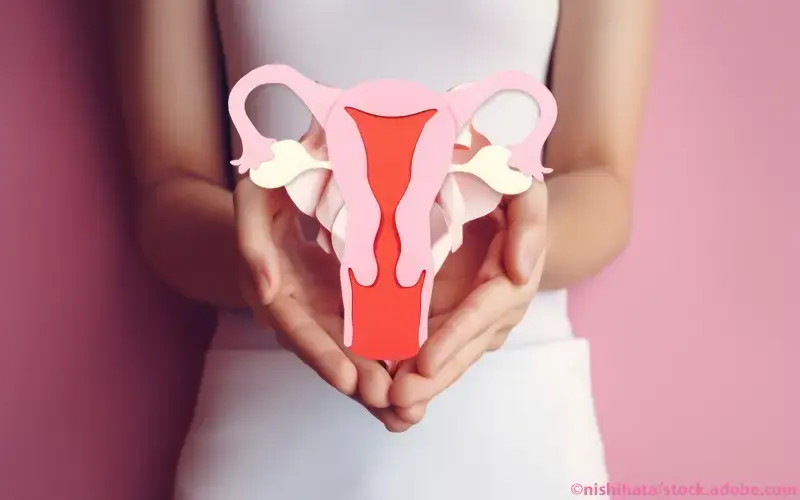 Weibliche Geschlechtsorgane