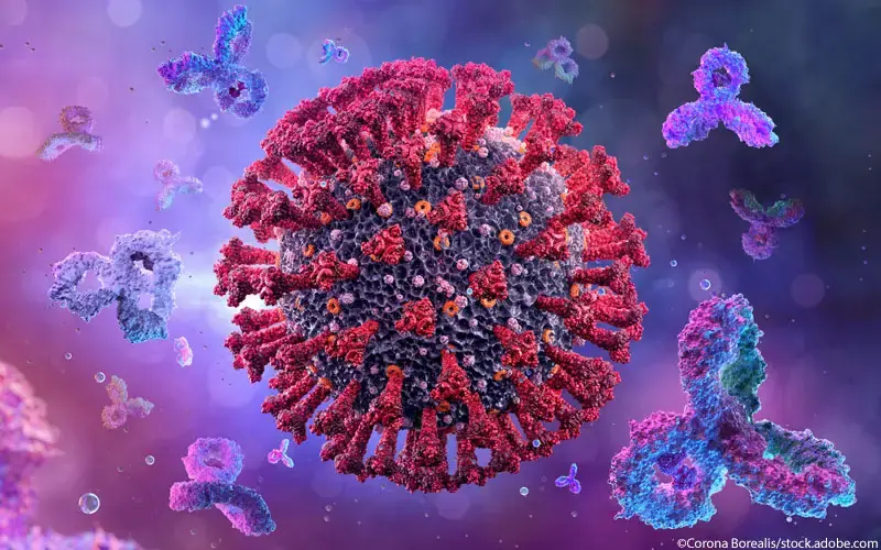 Antikörper gegen Corona