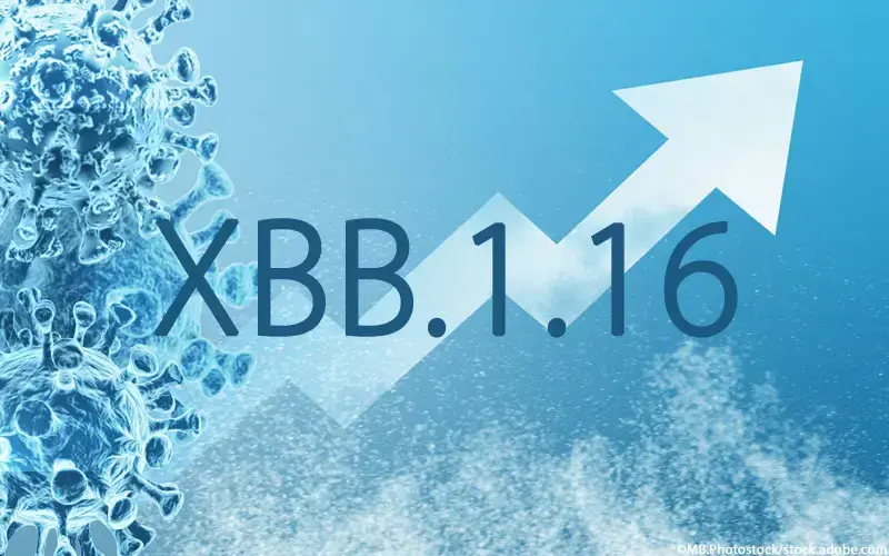 XBB.1.16 