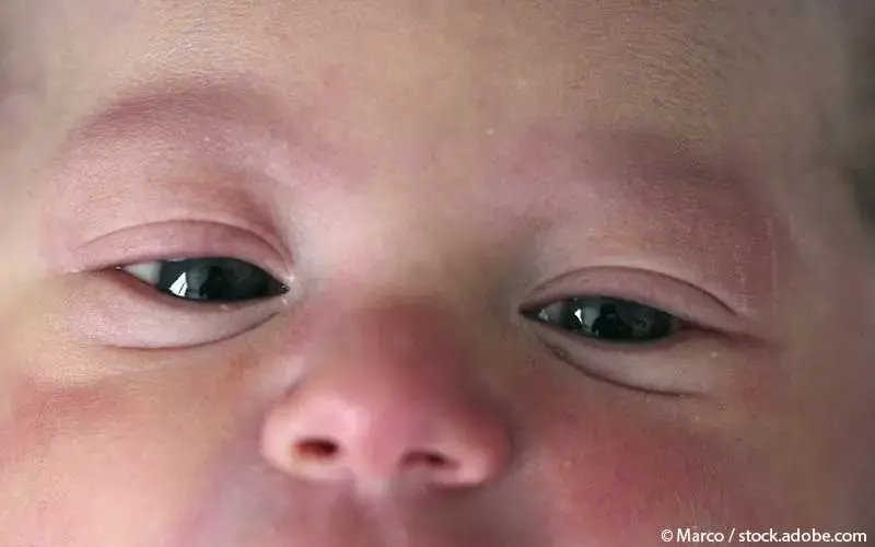 Nahaufnahme Baby Augen