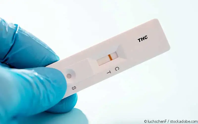 THC Schnelltest