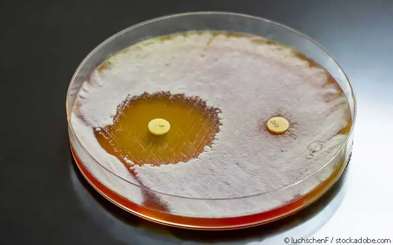 Antibiotikaresistenz