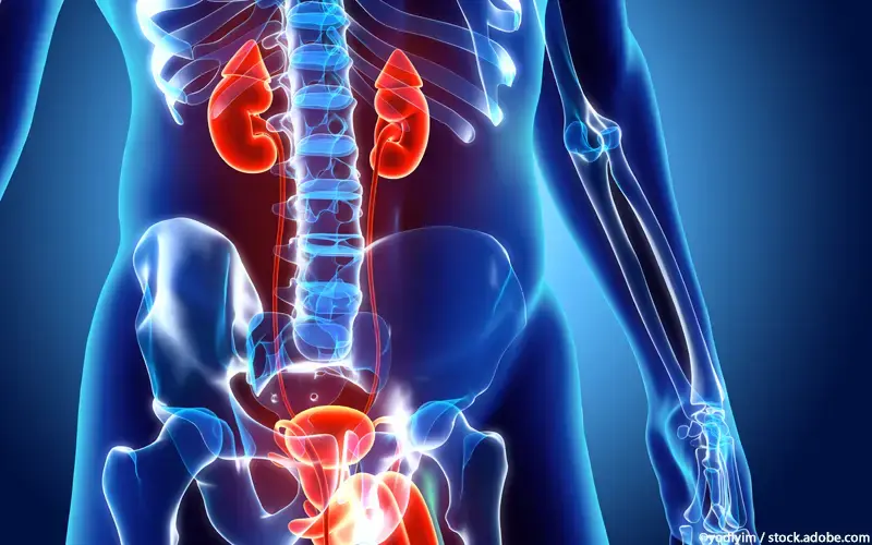 Fachbereich Urologie