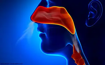 Fachbereich HNO Fachbereich HNO