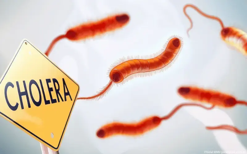 Cholera