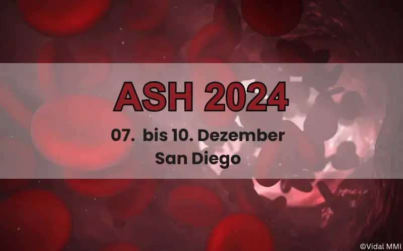 ASH 2024