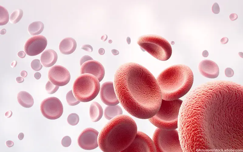 Bluterkrankungen