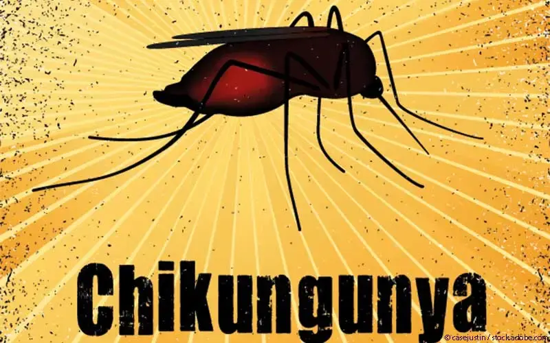 Chikungunya