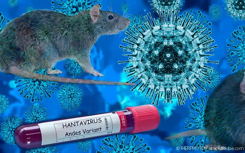 Hanta-Virus-Ausbruch