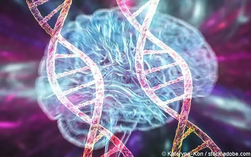 Neurodegenerative Erkrankungen