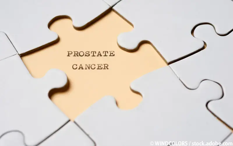 Prostatakrebs-Puzzle