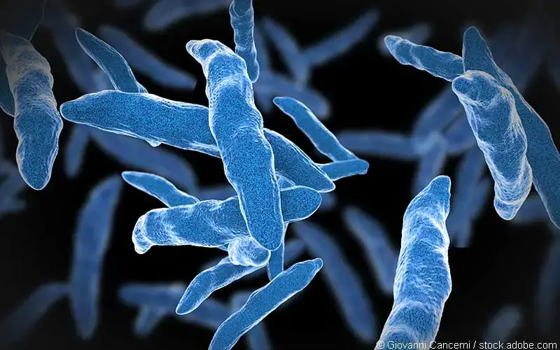 Tuberkulose Infektion 