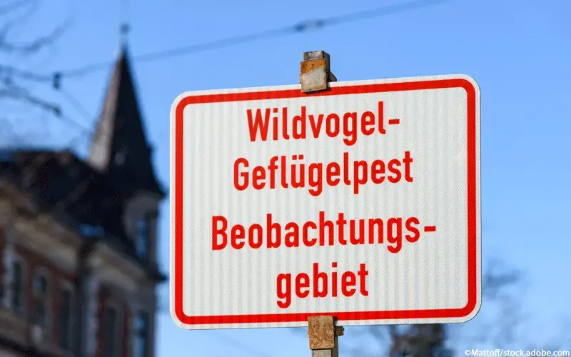 Vogelgrippe Schild
