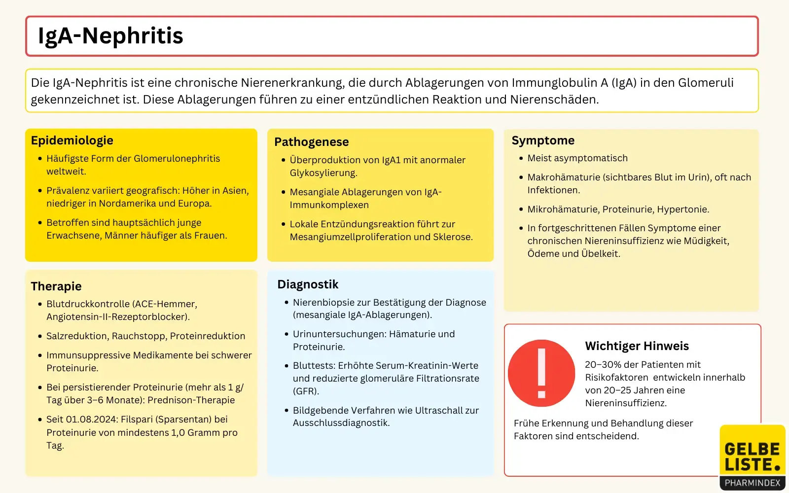 Immunglobulin-A-Nephropathie